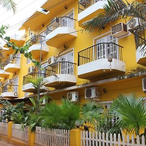 Oyo 12018 New Image Inn